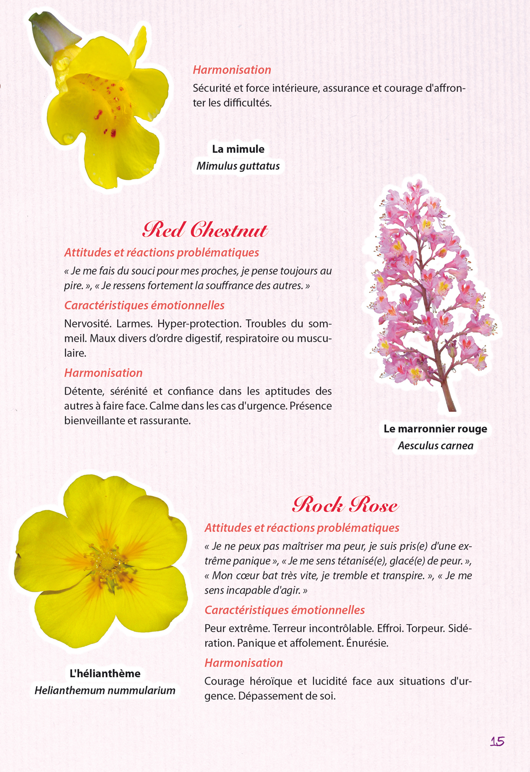 Mon cahier des Fleurs de Bach Editions Mosaïque Santé — free download